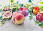  fig food fruit highres leaf light no_humans original painting_(medium) peach plant shadow still_life traditional_media tsukiyo_ono vines watercolor_(medium) 