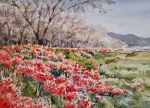  akemisuisai blue_sky clouds cloudy_sky day field flower flower_field forest grass highres hill mountain mountainous_horizon nature no_humans original painting_(medium) red_flower scenery sky traditional_media tree watercolor_(medium) 