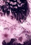  1boy axis_powers_hetalia black_hair cherry_blossoms falling_petals highres japan_(hetalia) looking_at_viewer male_focus petals pink_theme portrait solo tagme user_fzzr7353 