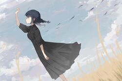  1girl arm_up black_dress black_hair blue_sky blush braid breasts clouds cloudy_sky collared_dress commentary_request day dress dutch_angle from_side grey_eyes highres long_hair low_twintails medium_breasts nijisanji outdoors parted_lips puffy_short_sleeves puffy_sleeves short_sleeves sky solo standing twin_braids twintails virtual_youtuber yamagami_karuta yowayowap 