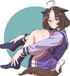  1girl 39kyukochan @_@ ahoge animal_ears blush brown_hair closed_mouth ears_down frown full_body hair_between_eyes hairband highres horse_ears horse_girl horse_tail knees_up long_sleeves looking_at_viewer looking_to_the_side meisho_doto_(umamusume) multicolored_hair no_shoes purple_shirt purple_skirt purple_thighhighs sailor_collar school_uniform shirt short_hair sitting skirt solo tail tail_through_clothes thigh-highs tracen_school_uniform two-tone_hair umamusume violet_eyes 