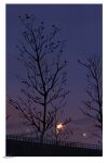  bare_tree blue_sky border chinese_commentary clouds commentary_request dated dusk gradient_sky highres lamppost leaf no_humans one-hour_drawing_challenge original outdoors railing sanshui_guantang scenery signature sky tree white_border 