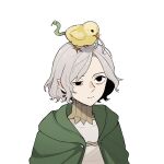  1boy animal_on_head bags_under_eyes bird bird_on_head black_eyes chick cloak dungeon_meshi elf expressionless green_cloak grey_hair half-closed_eye highres looking_up male_focus mithrun notched_ear on_head pale_skin pointy_ears portrait shirt short_hair simple_background snake_head_tail solo somu_ki tail uneven_eyes white_background white_shirt 