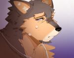  1boy animal_ears crying crying_with_eyes_open dog_boy dog_ears furry furry_male hashtag-only_commentary head_only highres jewelry live_a_hero looking_at_viewer male_focus necklace pubraseer_(live_a_hero) tears violet_eyes wang_yzzx 