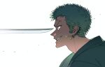  1boy black_eyes commentary_request earrings from_side green_hair highres jewelry katana korean_commentary male_focus one_piece roronoa_zoro short_hair simple_background single_earring smile solo sword teeth tm_one weapon white_background 