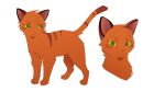  animal animal_focus animification cat firestar_(warriors) green_eyes highres looking_at_viewer looking_to_the_side multiple_views no_humans orange_cat orange_fur sam_(kyaptainkiddo) standing striped_fur striped_tail tail warrior_cats whiskers white_background 