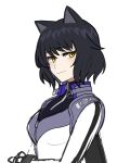  1girl animal_ears black_hair blake_belladonna breasts cat_ears catsuit closed_mouth cropped_torso leather_suit light_smile looking_at_viewer noratanukimaru pale_skin rwby short_hair simple_background tailcoat white_background white_tailcoat yellow_eyes zipper 
