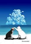  2others absurdres artist_name beach cat clouds cloudy_sky commentary full_body hat hat_ribbon highres multiple_others no_humans ocean one_piece original outdoors red_ribbon ribbon riononeko sky straw_hat white_cat 