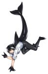  1girl animal_feet animal_hands black_hair black_leggings blue_eyes cetacean_tail dorsal_fin fins fish_tail full_body hand_up highres leggings looking_at_viewer monster_girl multicolored_hair open_mouth orca_girl original rramarukun shirt short_hair simple_background solo streaked_hair tail v webbed_feet webbed_hands white_background white_hair white_shirt 