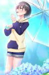  1girl bang_dream! bang_dream!_it&#039;s_mygo!!!!! blue_flower blue_hoodie blue_shorts blurry blurry_foreground commentary_request day drawstring flower fukumaru1021 grey_hair highres holding holding_umbrella hood hoodie long_sleeves looking_up open_mouth outdoors red_eyes short_hair shorts smile solo takamatsu_tomori transparent transparent_umbrella two-tone_hoodie umbrella water_drop yellow_hoodie 