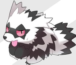  absurdres black_fur colored_sclera dorobo_93 galarian_zigzagoon grey_background highres looking_at_viewer no_humans pokemon pokemon_(creature) red_sclera slit_pupils solo tongue tongue_out two-tone_background two-tone_fur white_background white_fur 