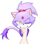  1girl animal_ears blaze_the_cat cat_ears cat_girl cat_tail forehead_jewel furry furry_female looking_at_viewer meme one_eye_closed pincubepi ponytail pov_cheek_grabbing_(meme) purple_fur simple_background sonic_(series) tail white_background yellow_eyes 