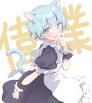  1boy animal_ear_fluff animal_ears apron black_dress blue_eyes blue_hair blush cat_boy cat_day cat_ears cat_tail dress fang frilled_wrist_cuffs frills looking_at_viewer maid maid_apron male_focus misskey.io murakami-san_(misskey.io) open_mouth otoko_no_ko ryouka_(suzuya) short_hair simple_background solo tail text_background white_apron white_background wrist_cuffs 