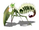  1other arthropod_limbs commentary_request extra_eyes full_body green_hair looking_to_the_side metamon1996 original praying_mantis short_hair simple_background sketch solo standing stinger white_background 
