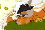 animal_focus berry_(pokemon) black_hat claws closed_eyes colored_skin commentary_request hat highres midori8_10 no_humans on_grass outdoors pikachu pokemon pokemon_(creature) pokemon_sleep raikou sleeping tail witch_hat yellow_skin 