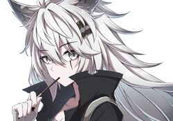  1girl absurdres animal_ear_fluff animal_ears arknights arm_up black_collar black_nails collar commentary english_commentary grey_eyes hair_between_eyes hair_ornament highres lappland_(arknights) long_hair looking_at_viewer open_mouth ruisuke simple_background solo white_background white_hair wolf_ears 