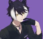  1boy animal_ears black_gloves black_hair black_shirt glove_in_mouth gloves hair_between_eyes highres holostars jackal_boy jackal_ears kageyama_shien kageyama_shien_(1st_costume) looking_at_viewer male_focus mouth_hold multicolored_hair purple_background rozu_ki shirt short_hair solo streaked_hair two-tone_hair virtual_youtuber white_hair yellow_eyes 