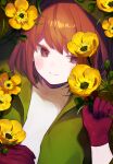  1other blush brown_eyes brown_gloves brown_hair buttercup_(flower) chara_(storyshift) chara_(undertale) closed_mouth flower gloves green_jacket hand_up highres jacket looking_to_the_side medium_hair mero_sha shirt smile solo storyshift undertale upper_body white_shirt yellow_flower 