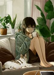  1girl bare_legs barefoot black_hair black_skirt blowing_on_food brown_pillow cat commentary couch cup curtains dachi_(mayday) green_hoodie grey_eyes highres holding holding_cup hood hood_down hoodie indoors knees_up long_sleeves medium_hair mug on_couch original plant potted_plant sitting skirt solo steam stylus table tablet_pc 