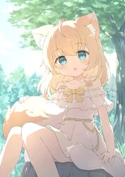  1girl ahoge animal_ear_fluff animal_ears backlighting blush bow chestnut_mouth day dress feet_out_of_frame forest fox_ears fox_girl fox_tail frilled_dress frills green_eyes highres looking_at_viewer nature on_rock open_mouth orange_bow orange_hair orange_ribbon original outdoors ribbon rock sidelocks sitting solo tail tyomimas white_dress 