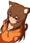  1girl animal_ear_fluff animal_ears brown_hair cat_ears cat_girl cat_tail guilty_gear guilty_gear_strive highres hood hoodie long_hair long_sleeves looking_at_viewer may_(guilty_gear) nirade44 orange_eyes orange_hoodie smile tail upper_body 