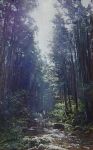  branch dappled_sunlight day forest highres naohiro_ito nature oil_painting_(medium) original painting_(medium) plant river riverbank rock shadow sunlight traditional_media tree water 