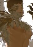  1boy animal_hands bird_boy bird_wings brown_feathers brown_hair claws dungeon_meshi english_commentary feathered_wings feathers hand_up highres laios_touden laios_touden_(chimera) looking_at_viewer male_focus monster_boy open_mouth ruint short_hair signature simple_background slit_pupils upper_body white_background wings yellow_eyes 