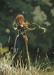  1girl backlighting blonde_hair blue_dress blurry blurry_background commentary dress floating_hair from_side gold_trim grass highres jiuminene juliet_sleeves light_particles long_dress long_hair long_sleeves looking_afar pointy_ears princess princess_zelda puffy_sleeves solo standing the_legend_of_zelda the_legend_of_zelda:_breath_of_the_wild v_arms wide_sleeves 