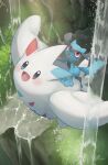 absurdres black_fur blue_eyes blue_fur blush body_fur fang flying grass heterochromia highres lying midair nature nullma on_back open_mouth outdoors pokemon pokemon_(creature) red_eyes riolu togekiss two-tone_fur water 