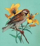  animal animal_focus bird commentary english_commentary flower from_side full_body green_background leaf no_humans original profile rentgraham simple_background solo sparrow yellow_flower 