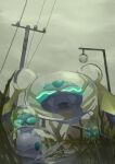  &gt;_&lt; absurdres araquanid closed_eyes clouds cloudy_sky commentary_request dewpider evolutionary_line from_below goomy grass highres king_joe_(neoroto) no_humans outdoors pokemon pokemon_(creature) power_lines puddle reflection sky utility_pole water 