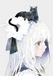  1girl absurdres animal animal_on_head black_cat cat cat_on_head closed_mouth flower frills from_side grey_background grey_eyes grey_hair hair_flower hair_ornament highres long_hair minimized on_head original oseto_(oxxsexxto) simple_background solo upper_body white_flower white_hair 