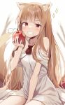  1girl animal_ears apple bare_shoulders blush breasts brown_hair dress eating food food_on_face fruit grey_dress grin highres holding holding_food holding_fruit holo kinokomushi long_hair looking_at_viewer off-shoulder_dress off_shoulder red_eyes sitting small_breasts smile solo spice_and_wolf tail teeth wolf_ears wolf_girl wolf_tail 