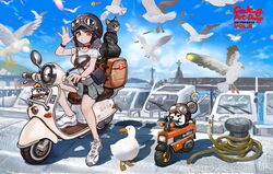  2girls animal bag bird black_shorts blue_eyes blue_sky boat breasts brown_eyes brown_helmet canking closed_mouth clothes_around_waist clouds commentary_request day goggles goggles_on_headwear goose grey_hair grey_helmet grey_jacket hand_up helmet jacket jacket_around_waist looking_at_viewer medium_breasts moped motor_vehicle multiple_girls o3o original outdoors pier seagull shirt shoes short_sleeves shorts shoulder_bag sky solo_focus watercraft white_footwear white_shirt 