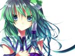  detached_sleeves frog green_hair hair_ornament kisaragi_kiriha kochiya_sanae long_hair smile touhou 