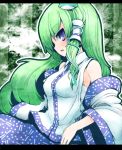  bad_id blue_eyes detached_sleeves frog green_hair hair_ornament kochiya_sanae long_hair shishigami_(sunagimo) snake solo touhou 