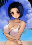  bikini blue_hair blush breasts cleavage idolmaster idolmaster_2 miura_azusa ocean red_eyes short_hair sky smile swimsuit water zero 