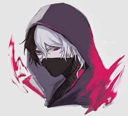  1boy antonio_salieri_(exhibition_attire)_(fate) antonio_salieri_(fate) antonio_salieri_(second_ascension)_(fate) artist_name black_hood black_mask brown_hair fate/grand_order fate_(series) fire grey_background hair_between_eyes highres hood hood_up looking_at_viewer male_focus mask mouth_mask multicolored_hair pink_fire pinstripe_pattern portrait red_eyes short_hair signature simple_background solo split-color_hair sumi_(gfgf_045) twitter_username two-tone_hood two_side_up white_hair white_hood yellow_eyes 