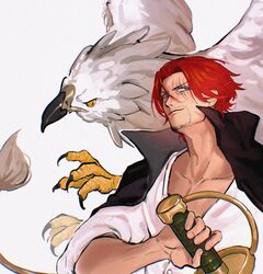  1boy black_claws black_coat bright_pupils brown_eyes closed_mouth coat collarbone creature facial_hair goatee_stubble griffin hair_between_eyes hair_intakes high_collar highres holding holding_sword holding_weapon lion_tail male_focus one_piece partially_unbuttoned redhead scar scar_across_eye shanks_(one_piece) shirt short_hair solo stubble sword tail talons upper_body vamos_mk weapon white_background white_pupils white_shirt yellow_eyes 