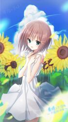  1girl :d alternate_costume bare_arms blue_sky blurry blush brown_hair c22vt1myjpljbnn clenched_hands clouds commentary_request cowboy_shot cumulonimbus_cloud day depth_of_field dress eyes_visible_through_hair field flower flower_field green_eyes hair_between_eyes hair_ornament hairclip hands_up happy heart highres looking_at_viewer mamiya_hasaki medium_hair open_mouth outdoors sky smile solo spaghetti_strap spoken_heart subarashiki_hibi sundress sunflower sunflower_field translation_request white_dress 