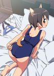  all_fours animal_ears barefoot bed brown_eyes brown_hair cat_ears cat_tail clothes_on_floor looking_back miyafuji_yoshika one-piece_swimsuit ootori_kei pillow school_swimsuit school_uniform short_hair strike_witches swimsuit tail tonbi 