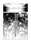  forest monochrome nature no_humans porurin_(do-desho) touhou translated tree 