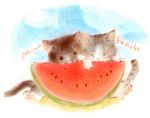  cat cat_focus food fruit holding holding_fruit lowres no_humans original sono_(runanikke) watermelon 