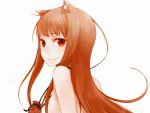   animal_ears holo long_hair orange_hair red_eyes spice_and_wolf white wolfgirl  