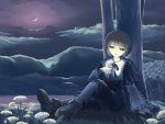  bow brown_hair butterfly butterfly_on_hand cloud clouds crescent_moon flower glow grass heterochromia long_sleeves moon night night_sky outdoors ranranloo ribbon rozen_maiden shoes short_hair sitting sky solo souseiseki tree 