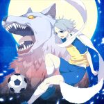  ball blue_eyes fubuki_shirou inazuma_eleven male mami moon scarf soccer_uniform white_hair wolf 