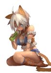  blue_eyes cat_ears cat_tail final_fantasy final_fantasy_xi mithra simple_background suzu_no tail white_hair 