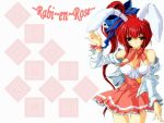  bunnygirl comic_party cosplay di_gi_charat magic_private_eye rabi_en_rose takase_mizuki 