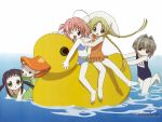  bottle_fairy chiriri duck hororo kururu loli oboro sarara swimsuit 