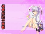  bunnygirl reisen_udongein_inaba tagme touhou 